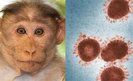世卫组织猴痘疫情不再构成“国际关注的突发公共卫生事件” 意味着什么？